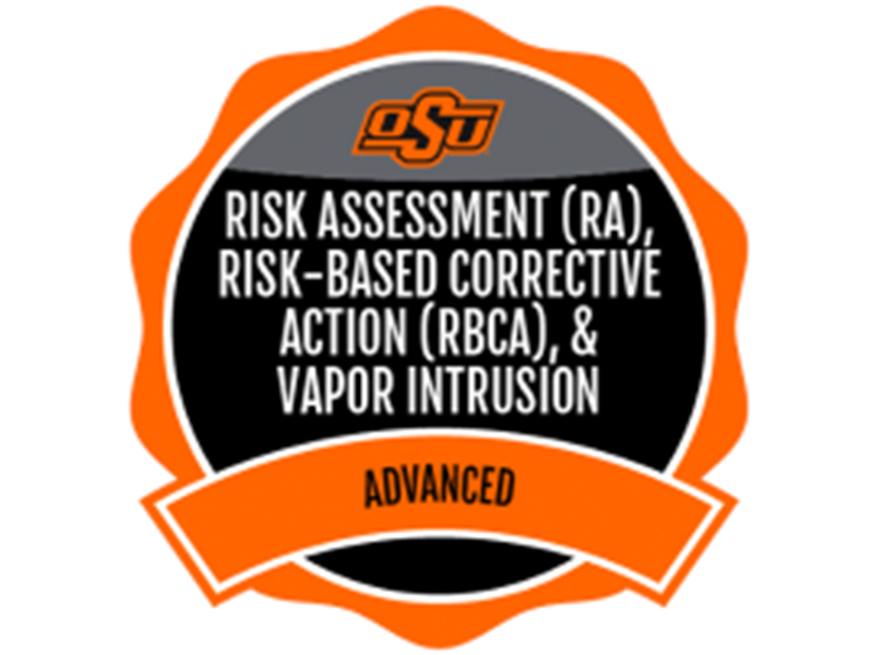 Risk Assessment micro-credential image