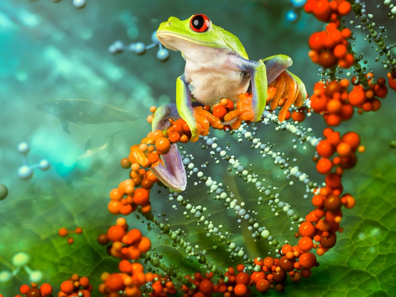 integrative-biology-4x3