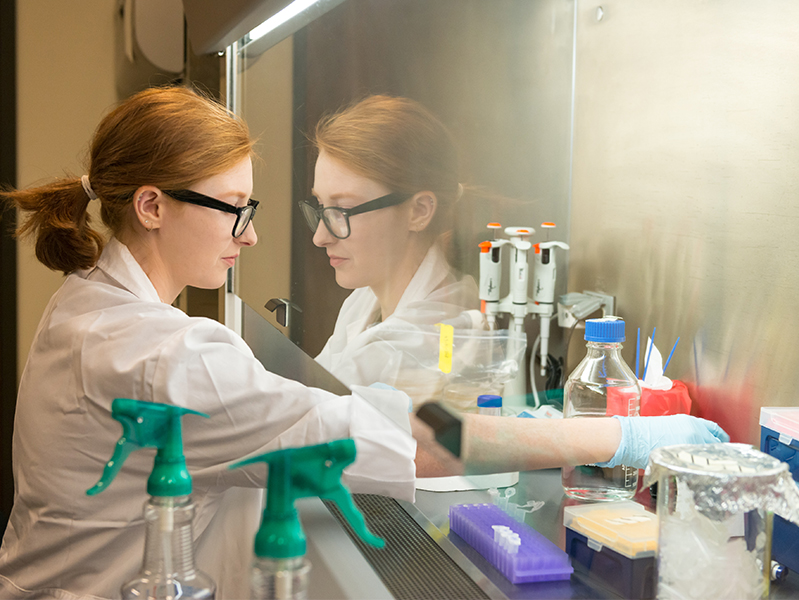 research.jpg Female student in a lab using a chemical hood.