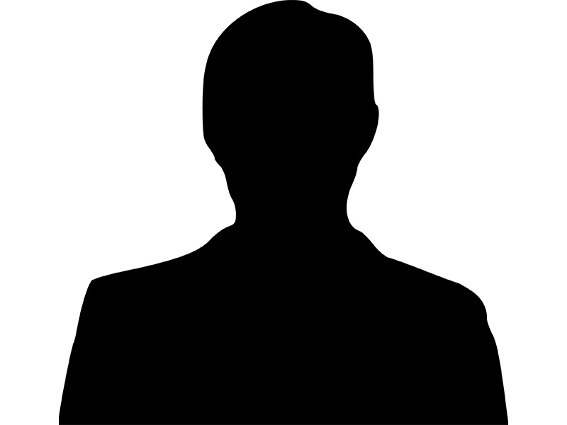 This is alt text for the image