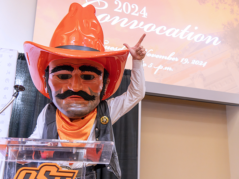 Faculty Awards