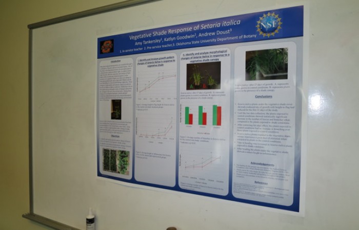  Amy's Poster