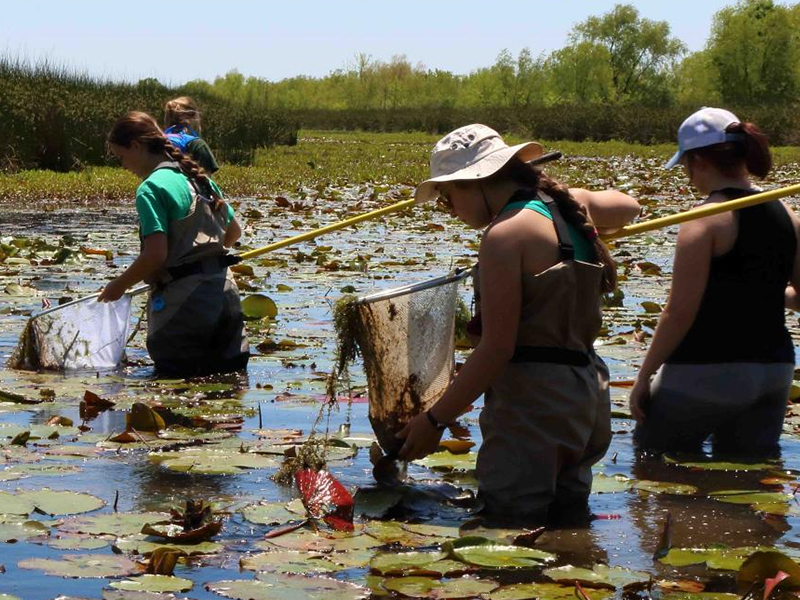 students walking through a body of water with bug nets