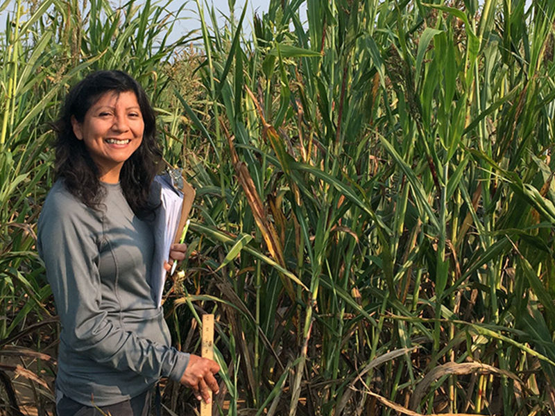 A woman standing in a field of tall grass.
