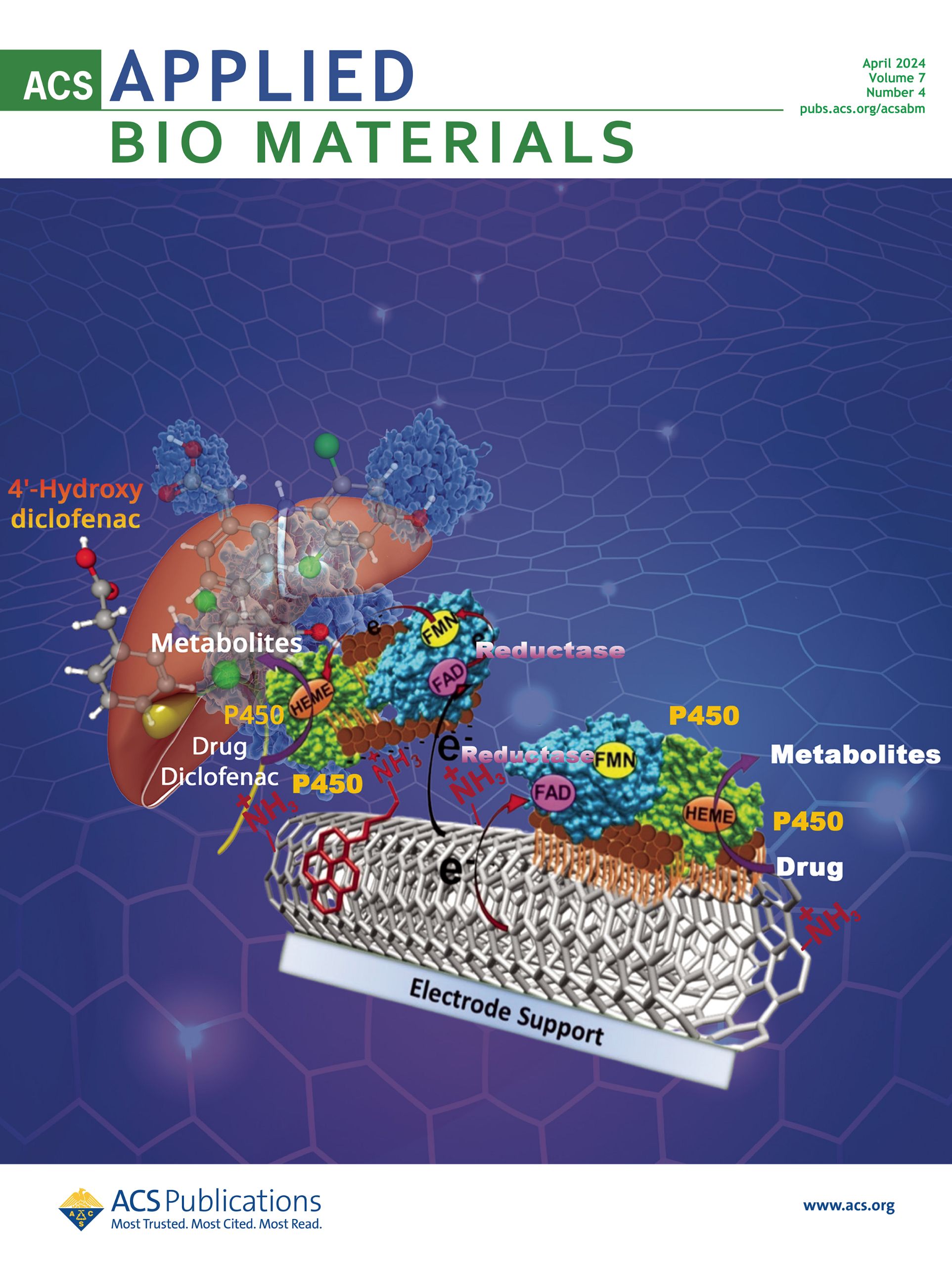 ACS_Appl_BioMat_Cover_Apr2024