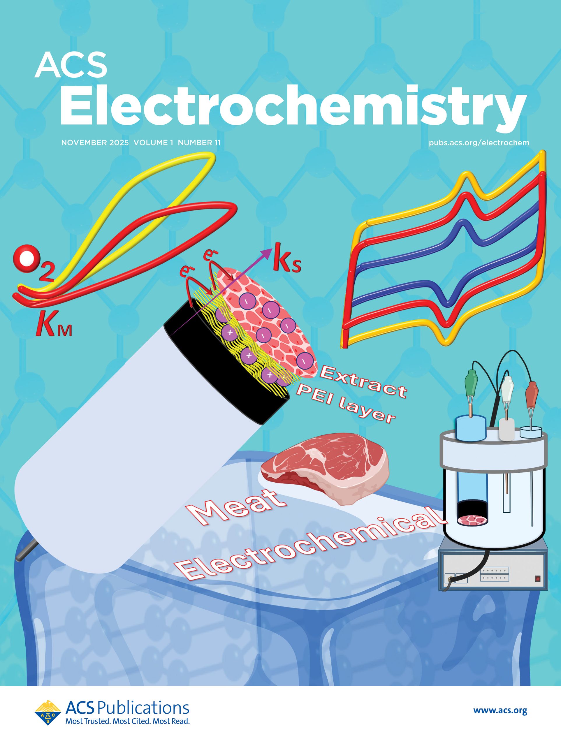 ACS Electrochemistry