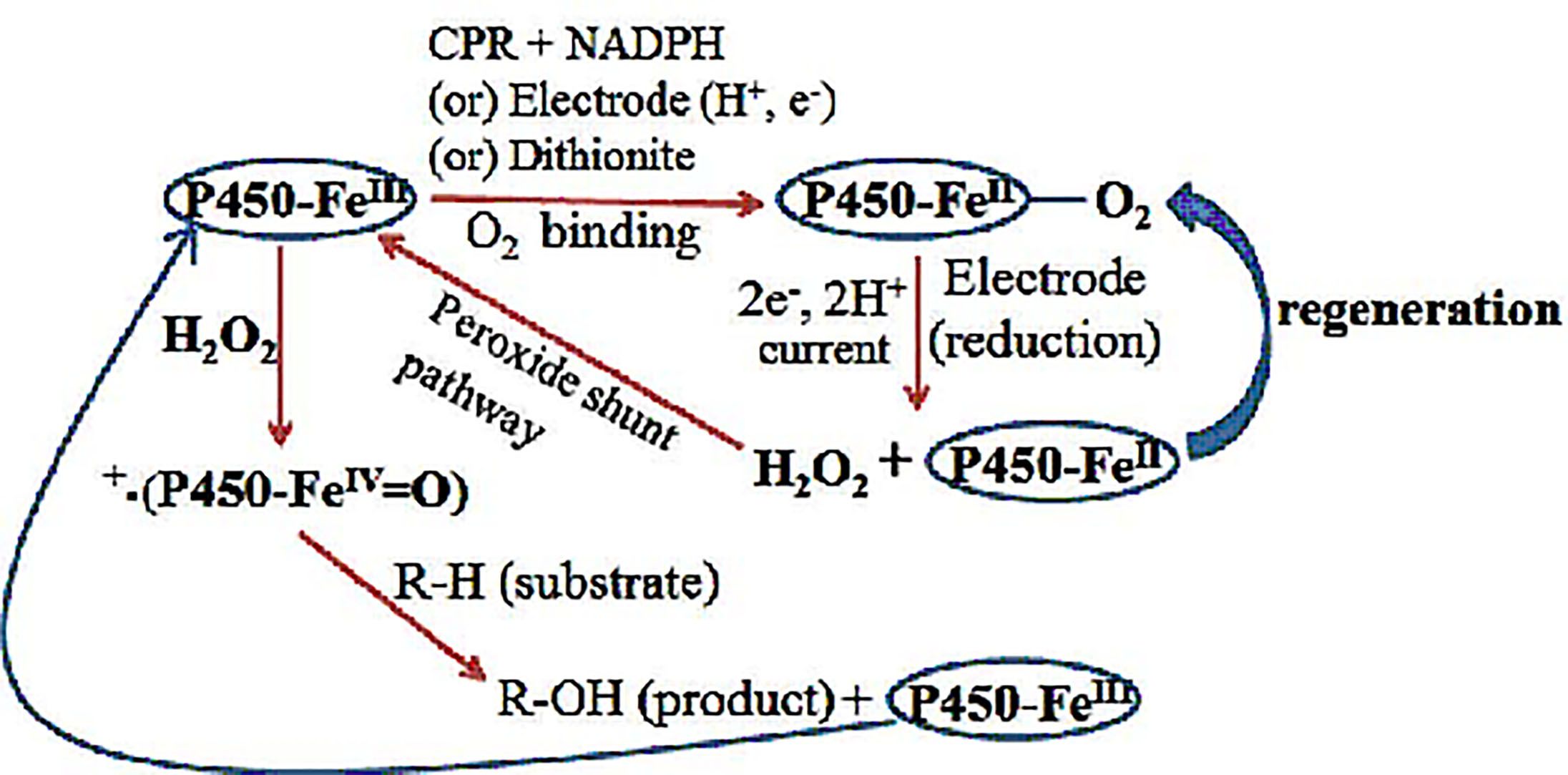gp_site_TOC_publ_38