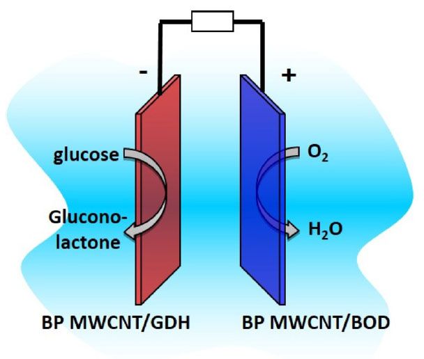 gp_site_TOC_publ_44