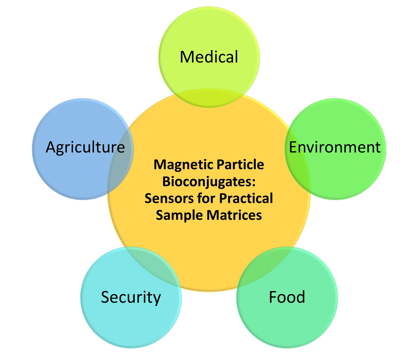 Magnetochem-Katz_invited_19
