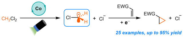 Updated Graphical Abstract
