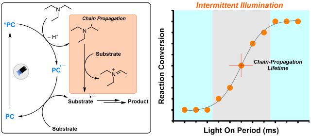Tetrahedron Chem Graphical Abstract