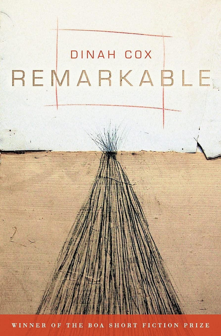 Cover of the book Remarkable
