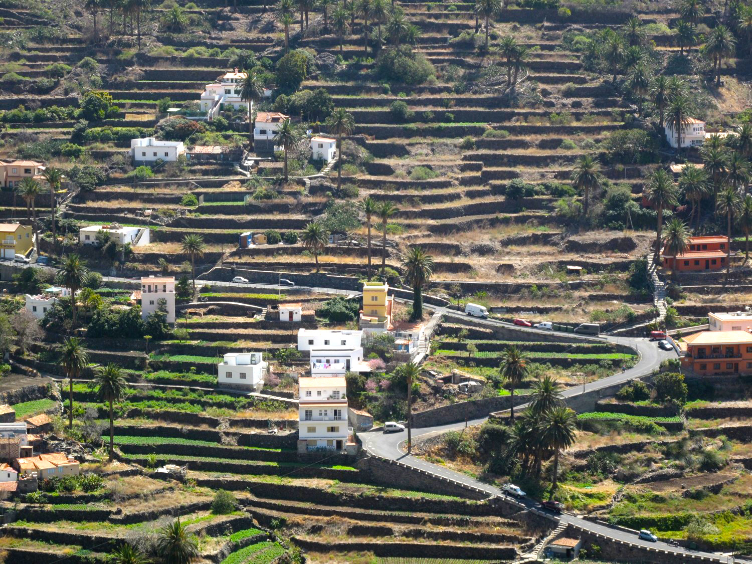 agricultral terraces in canary islands