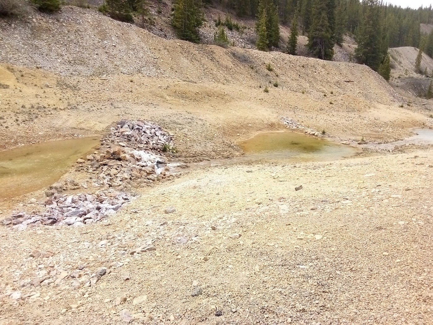students sampling