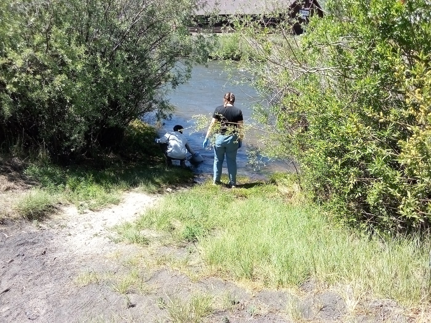 students sampling