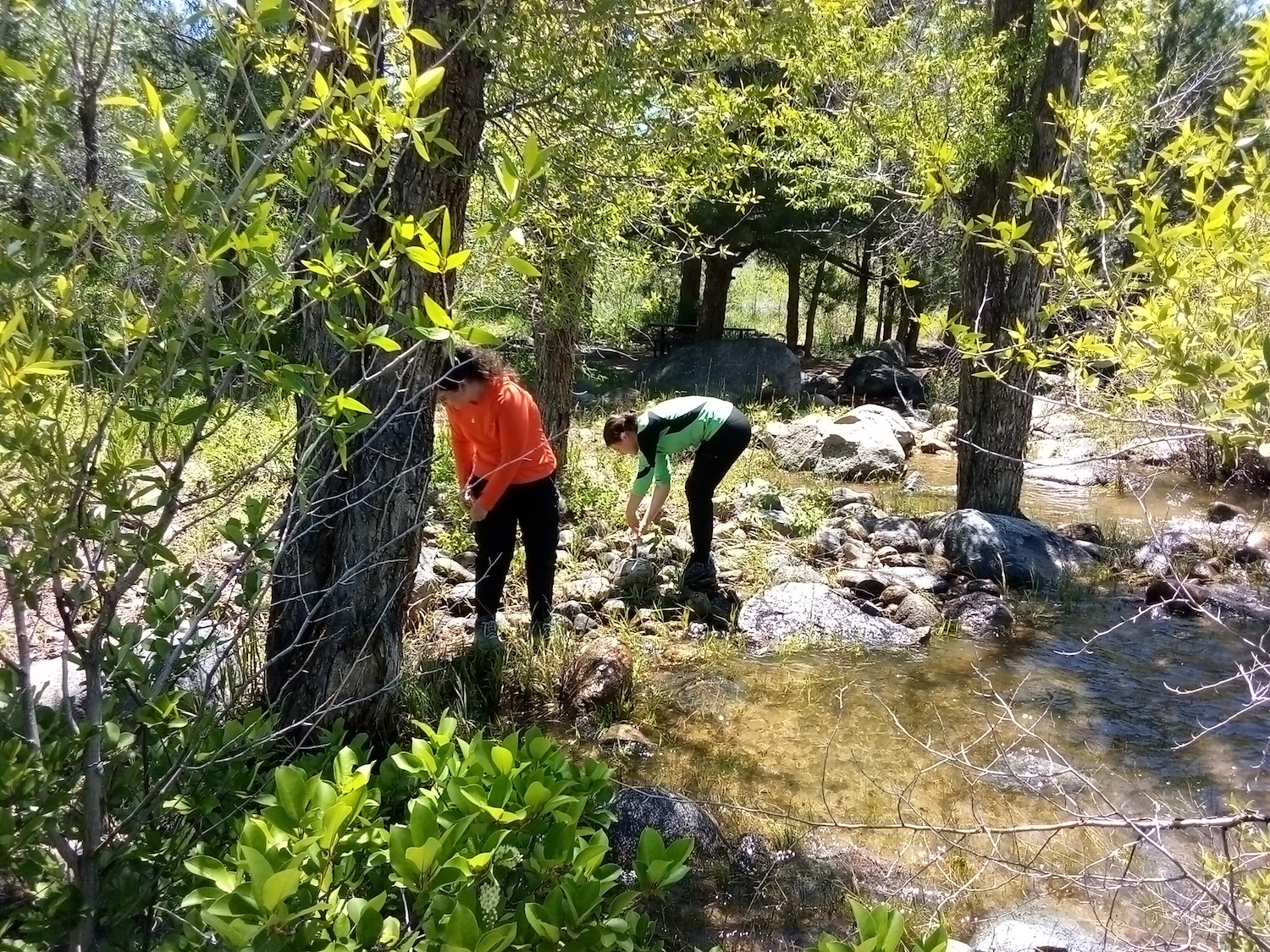 students sampling