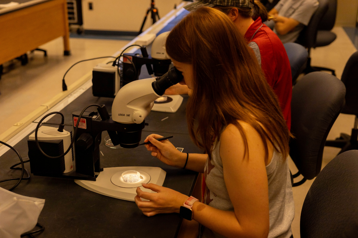 GEO-Rex campers getting to look at samples under a microscope.