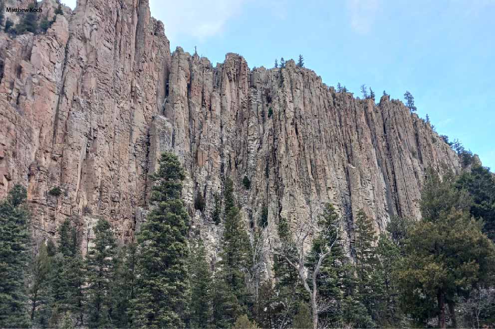 Stream view looking up a cliff side in Red River Colorado.