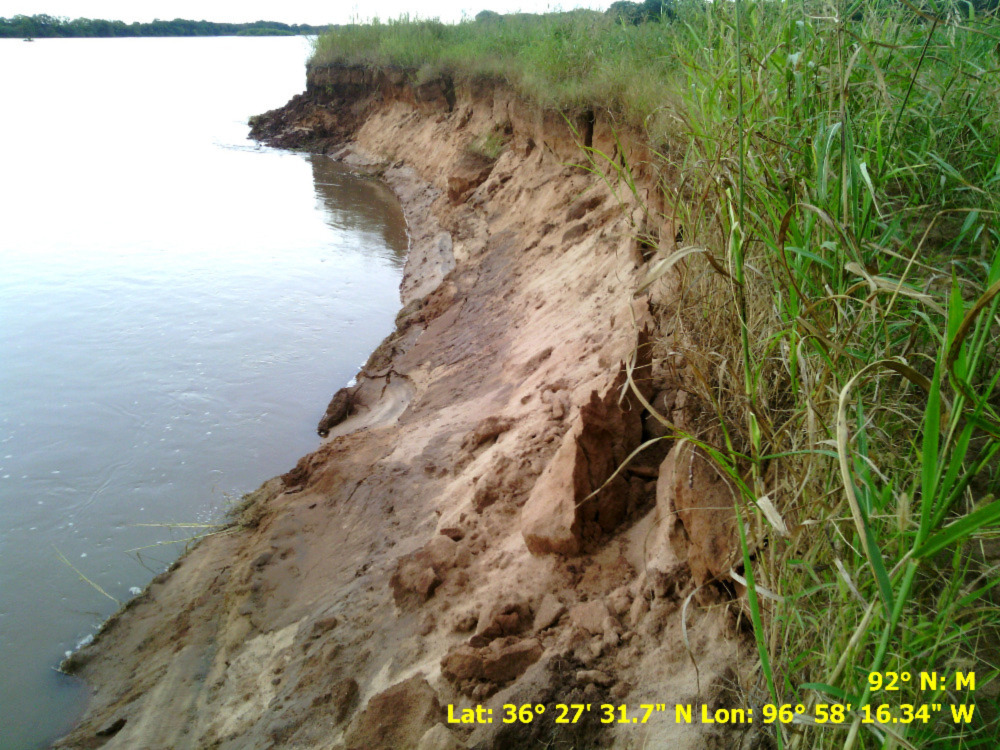 Lake shoreline with tall grass.
