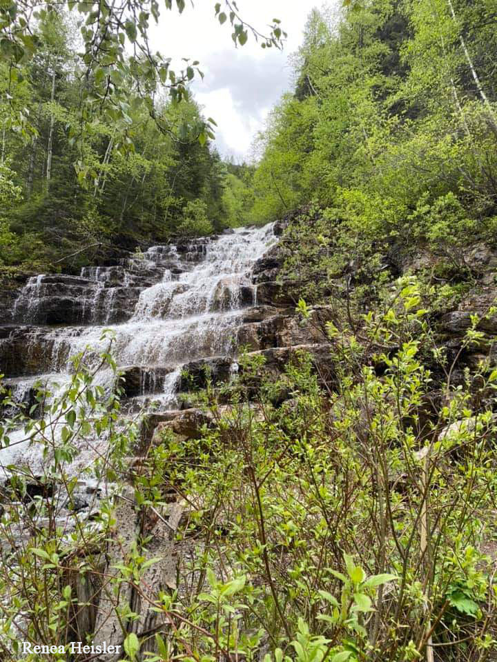 Waterfall in a forested area.