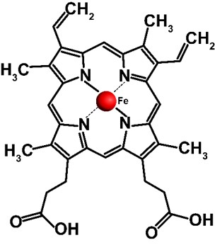 Graphic of Heme acquisition in Mycobacterium tuberculosis