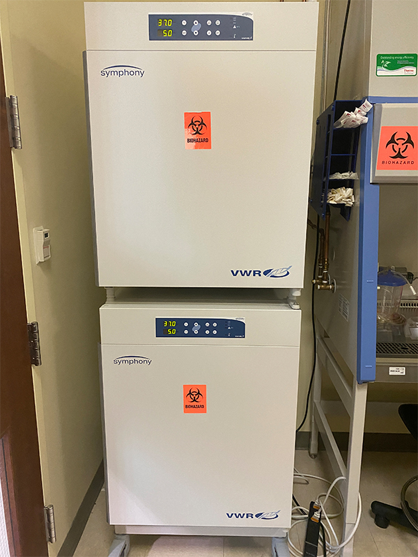 Big Incubator