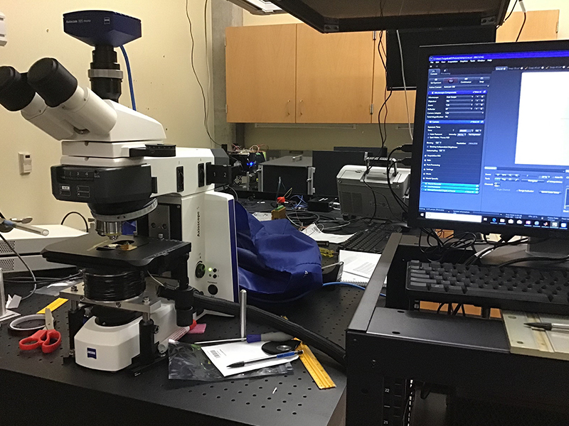 White-light MOKE Microscope