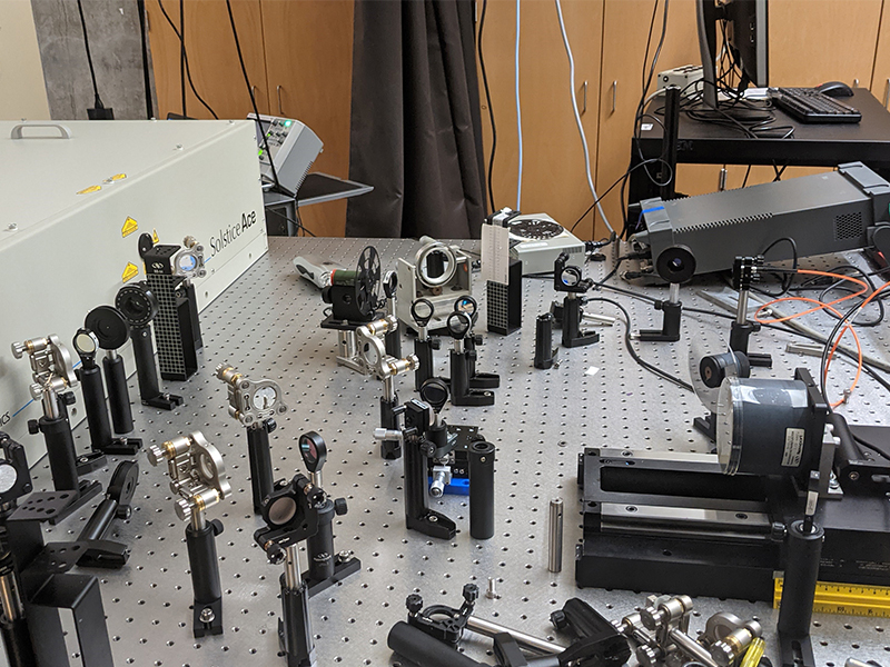 Transient Absorption Spectroscopy