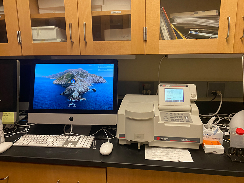 UV Vis Spectroscopy