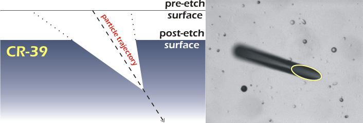 By chemically removing material from the detector, the latent damage trails are enlarged, thereby becoming what are called 