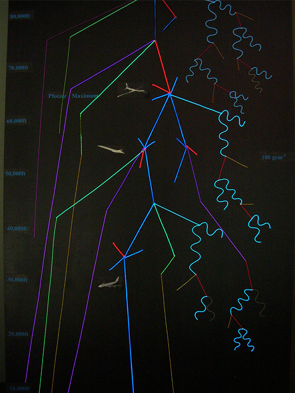 Cosmic Ray Shower