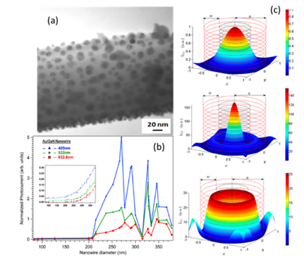 Plasmon Polarition