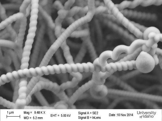 GUITAR Nanosprings