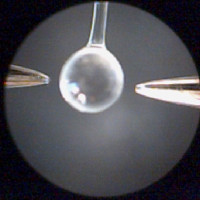 nanowire placement