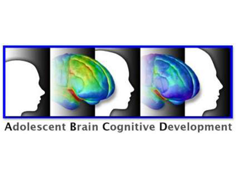 Project logo