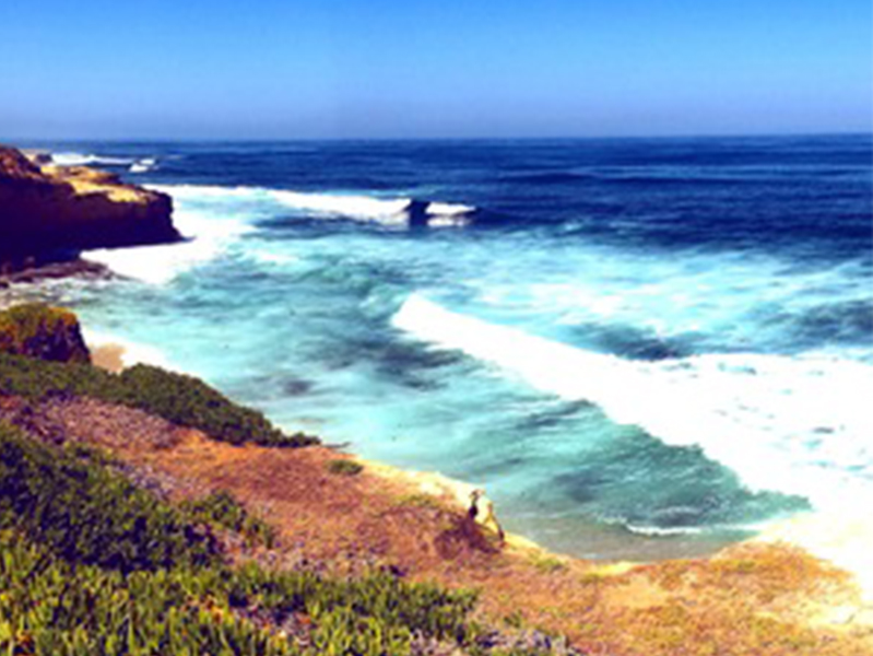 Ocean view