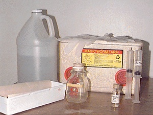 Worm apparatus