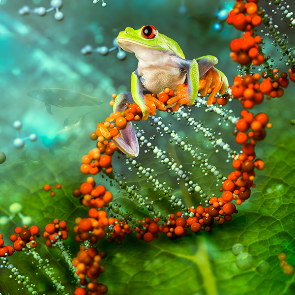 integrative-biology