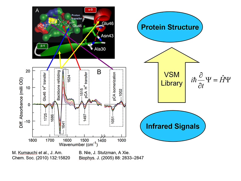 How to extract structural information from FT-IR spectroscopy?